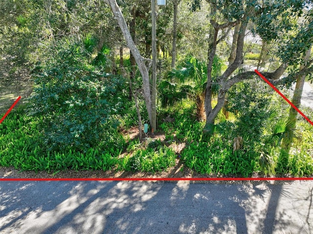 4252 Old A1A, Palm Coast FL, 32137 land for sale