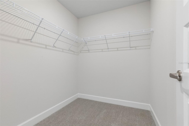 13 Primrose Ln, Palm Coast, FL 32164 - spacious closet with carpet flooring