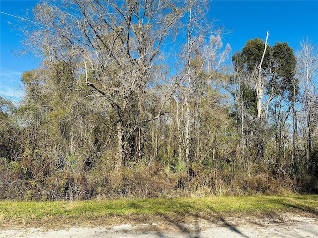 4790 Alvin St, Hastings FL, 32145 land for sale