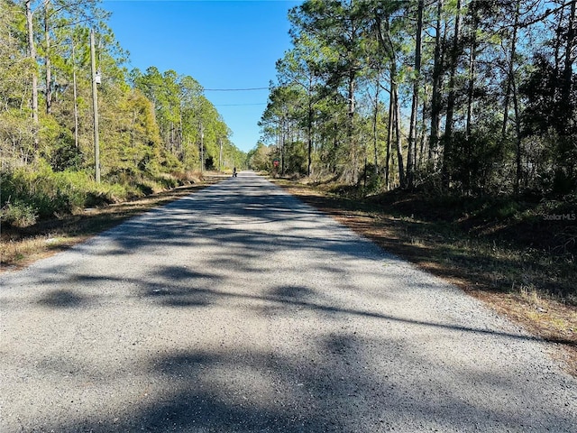 Listing photo 3 for 4315 Theresa St, Hastings FL 32145