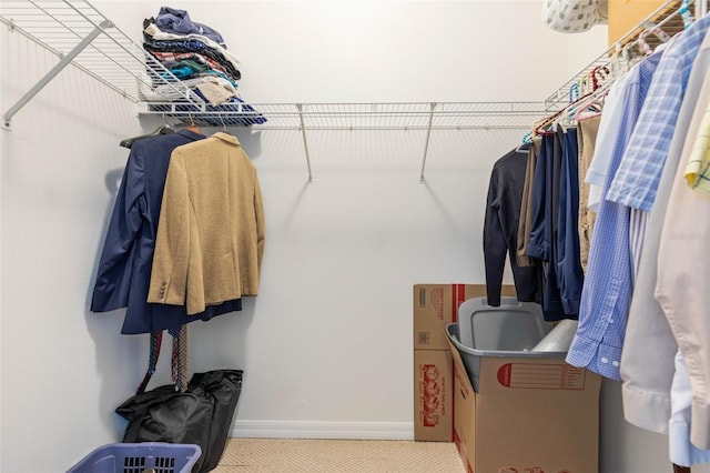 walk in closet with carpet floors