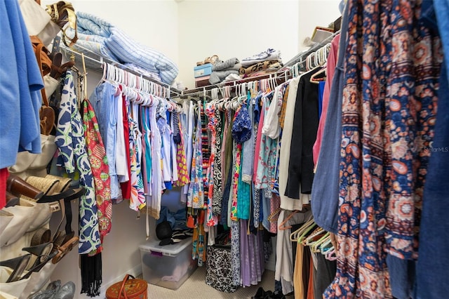 spacious closet featuring carpet flooring