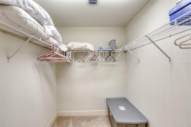 spacious closet with light carpet