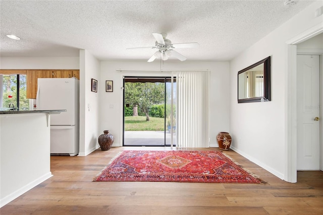 foyer with a ceiling fan, a wealth of natural light, baseboards, and light wood finished floors