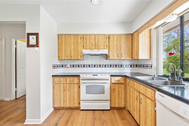 kitchen with under cabinet range hood, white appliances, a sink, light wood finished floors, and dark countertops