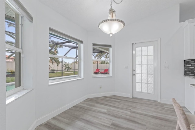 doorway to outside with plenty of natural light and light hardwood / wood-style flooring