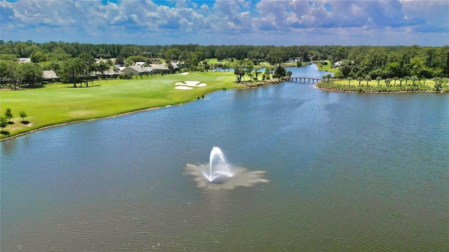 property view of water