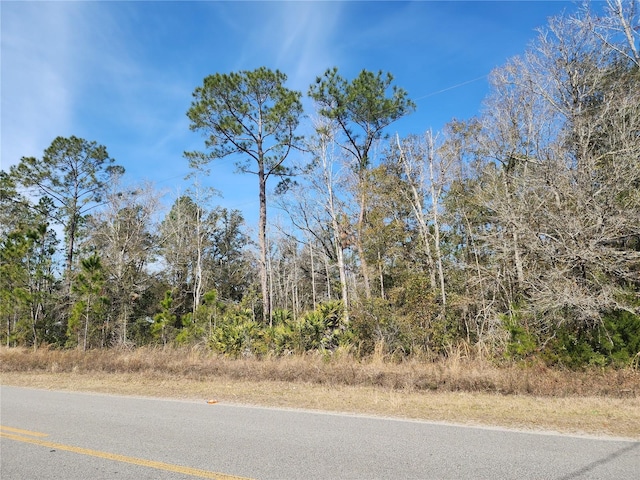 Listing photo 3 for 4700 Cedar Ford Blvd, Hastings FL 32145