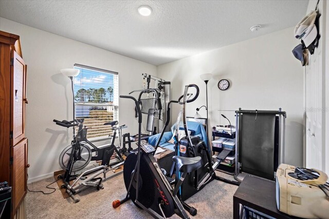 20 Roxland Ln, Palm Coast, FL 32164 - photo 20