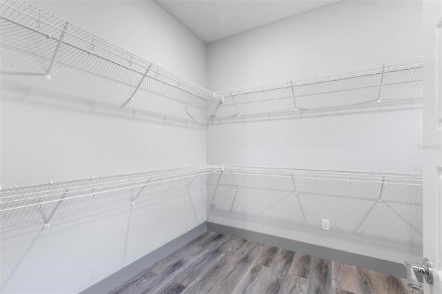 walk in closet with hardwood / wood-style floors