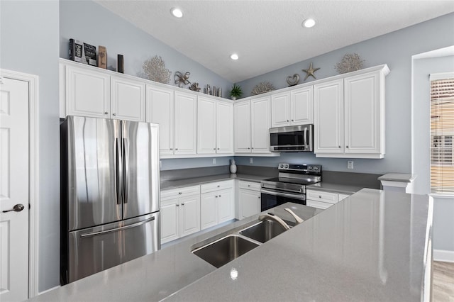 kitchen with white cabinetry, stainless steel appliances, and sink