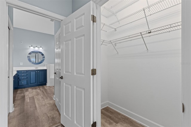 spacious closet with sink and light hardwood / wood-style flooring