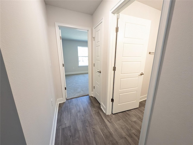 hallway with dark wood-type flooring