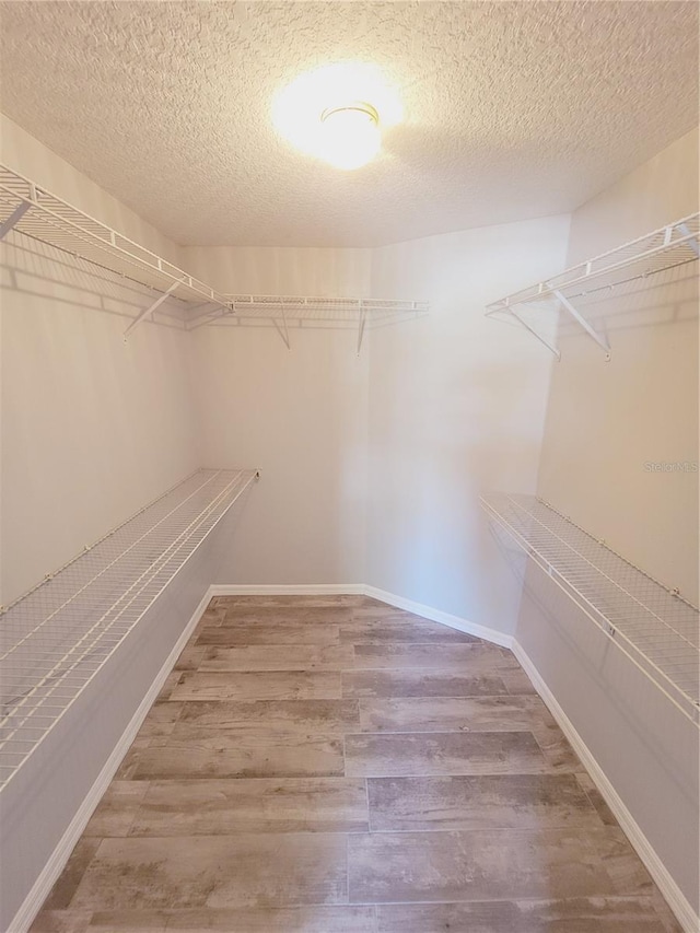 spacious closet with hardwood / wood-style flooring