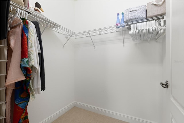 spacious closet with carpet flooring