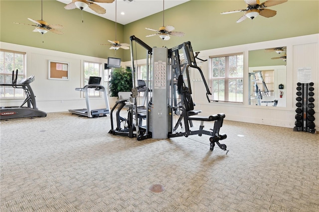 exercise room featuring a towering ceiling and carpet floors