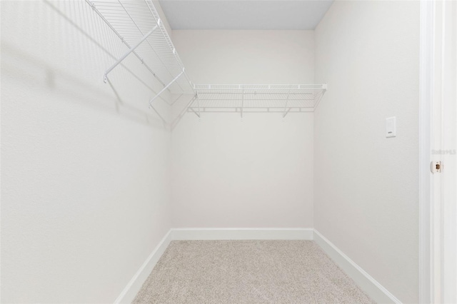 spacious closet with carpet floors