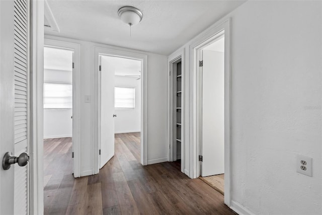 hallway featuring dark wood-type flooring