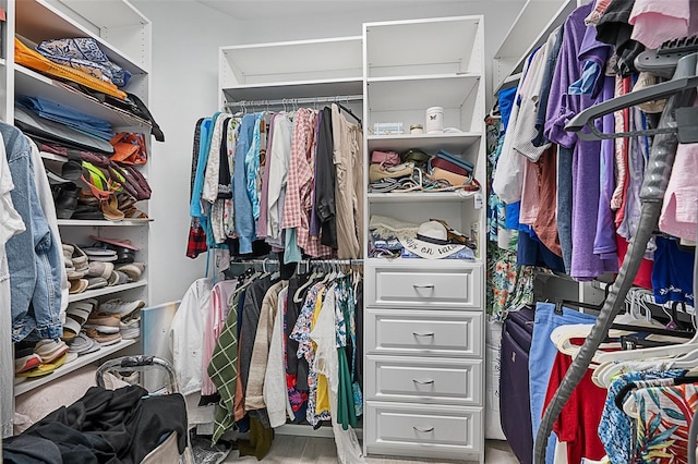 view of walk in closet