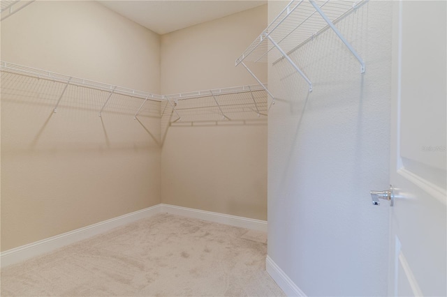 walk in closet featuring carpet flooring