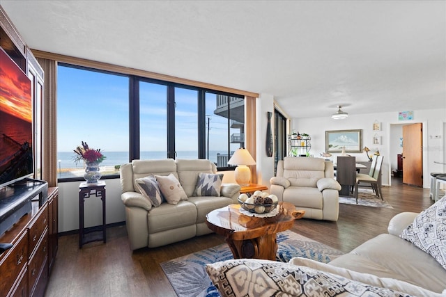 living room with a water view and dark wood-type flooring