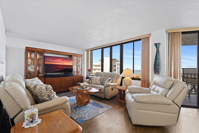 living room featuring a healthy amount of sunlight