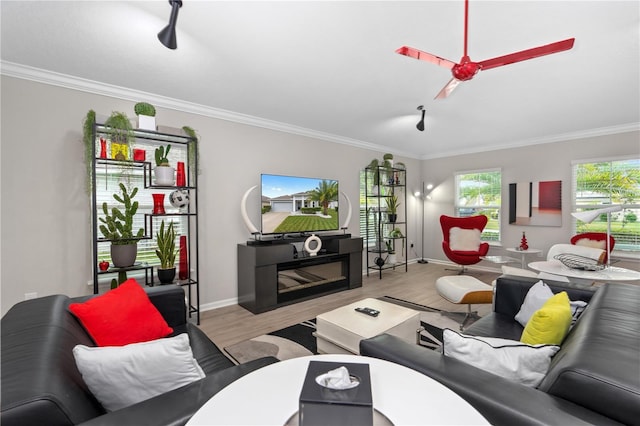 living room with ornamental molding, light hardwood / wood-style floors, and ceiling fan