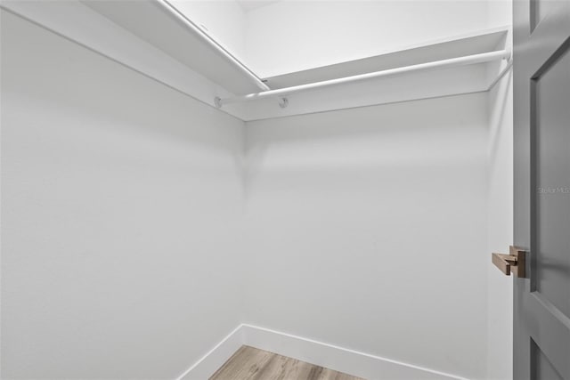 spacious closet with wood-type flooring