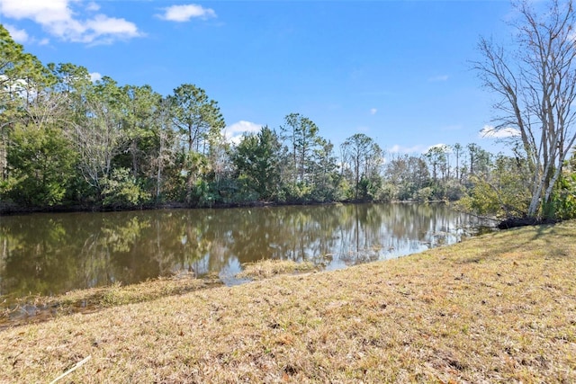 property view of water