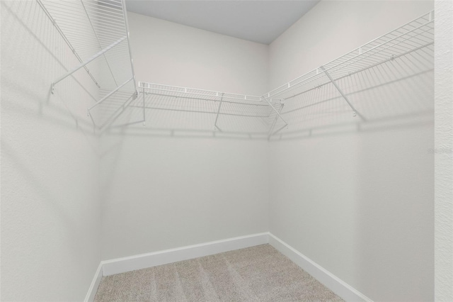 7 Whitcock Ln, Palm Coast, FL 32164 - walk in closet with carpet floors