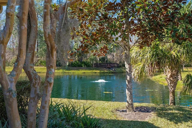 view of water feature