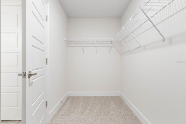 walk in closet featuring light colored carpet