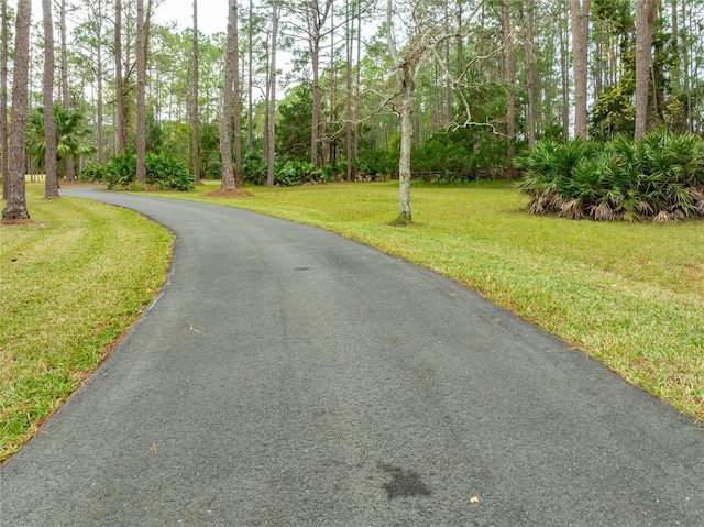 view of road