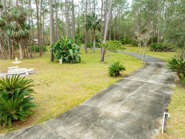 view of home's community featuring a yard