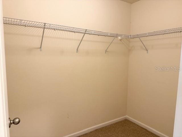 walk in closet with carpet