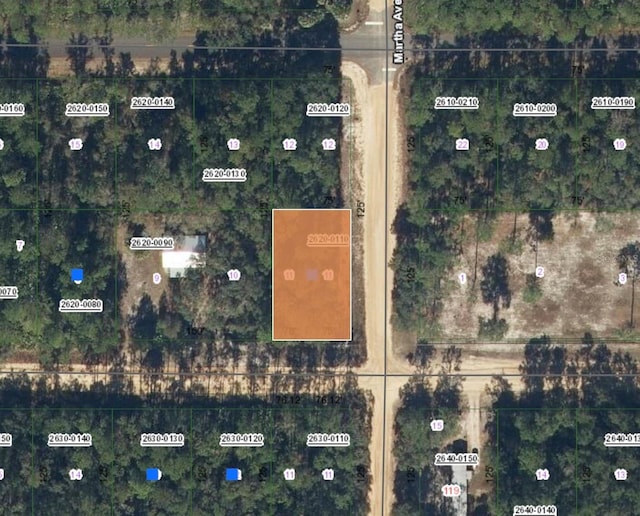 XX Davis St, Interlachen FL, 32148 land for sale