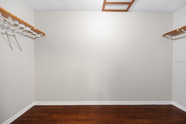 walk in closet with dark wood-type flooring