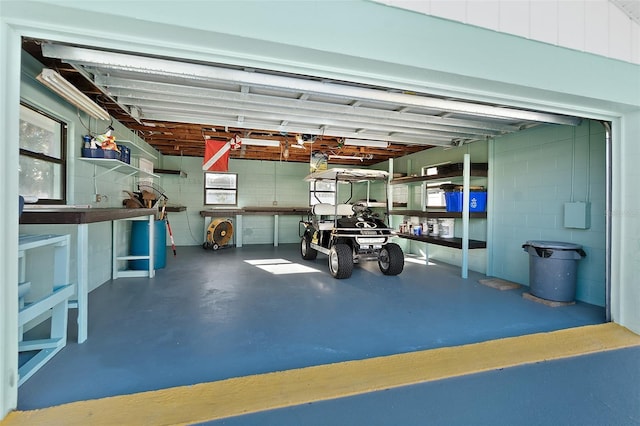 garage featuring concrete block wall