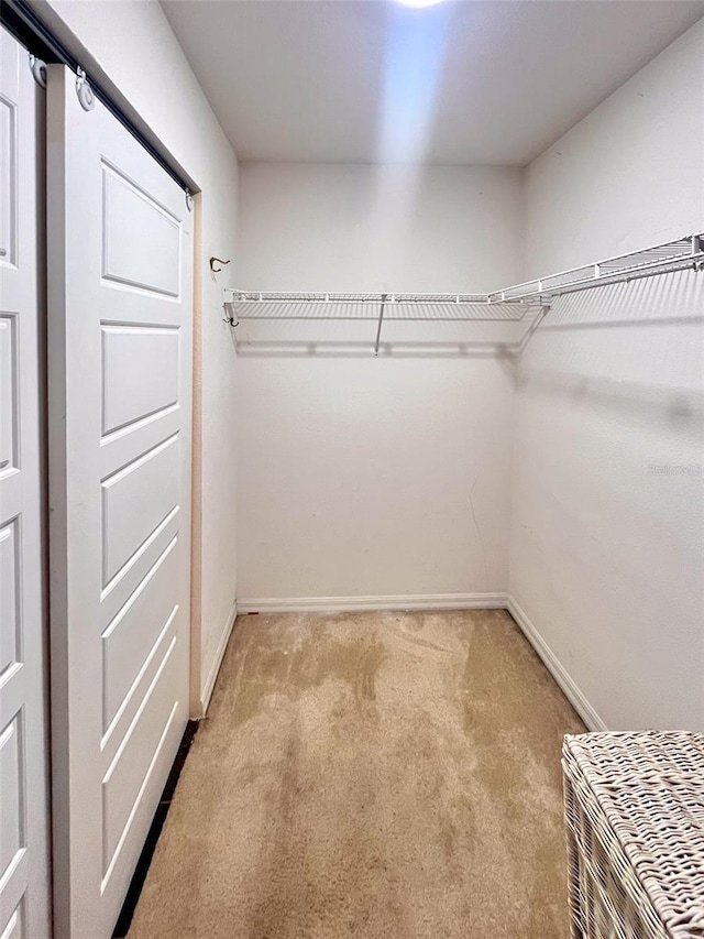 walk in closet featuring light colored carpet