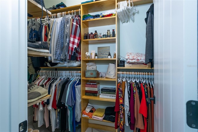 view of spacious closet