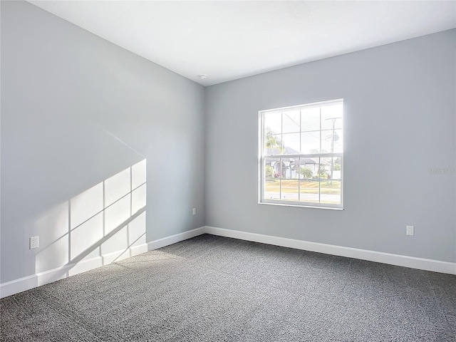 spare room with carpet floors