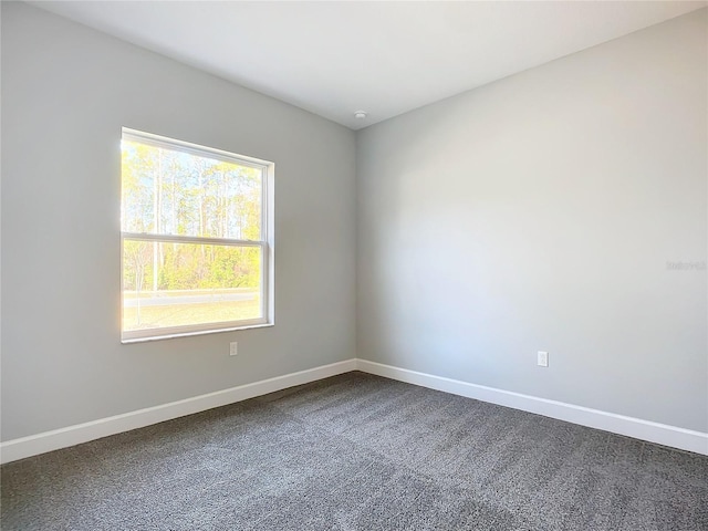 empty room featuring carpet floors