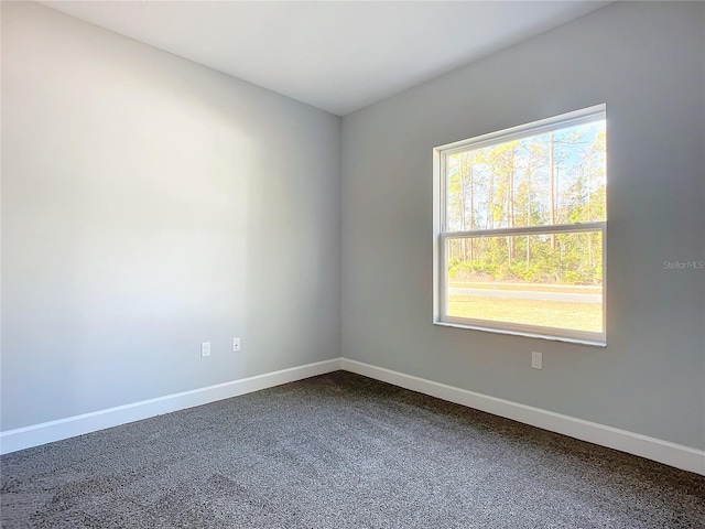 carpeted empty room with plenty of natural light