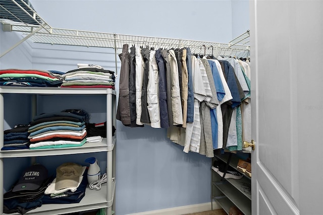 view of spacious closet