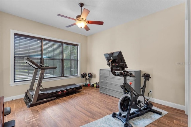 workout room featuring ceiling fan and light hardwood / wood-style floors