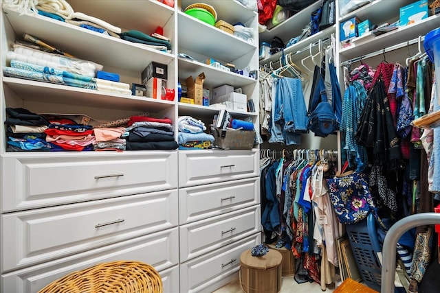 view of spacious closet