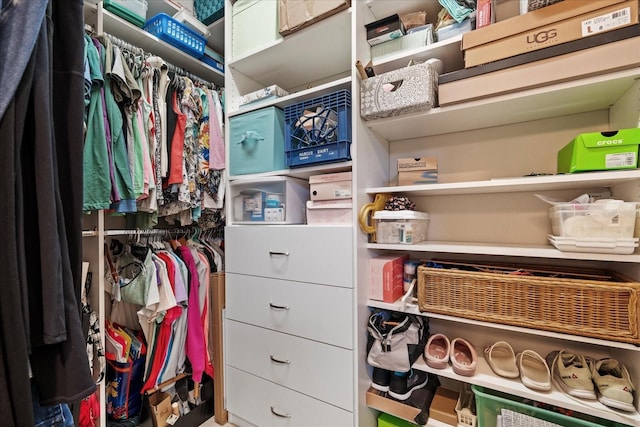 view of walk in closet