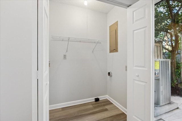 clothes washing area featuring hardwood / wood-style floors, electric panel, and a textured ceiling