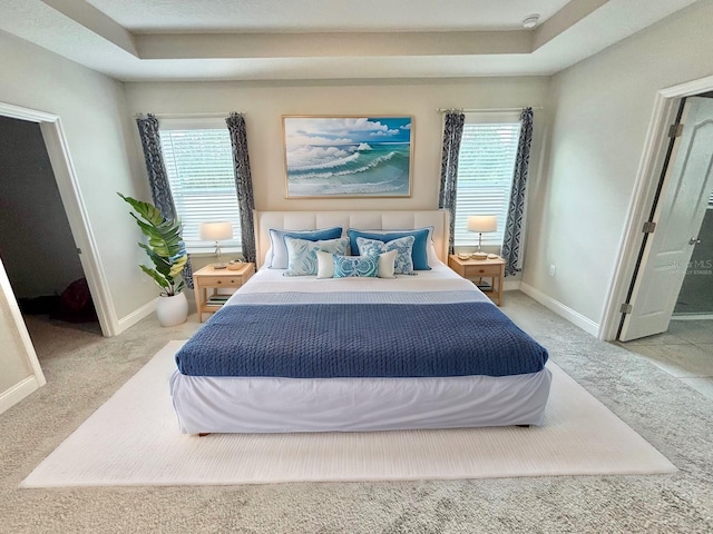 bedroom with a raised ceiling and carpet