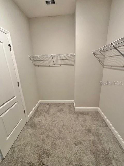 walk in closet with carpet floors